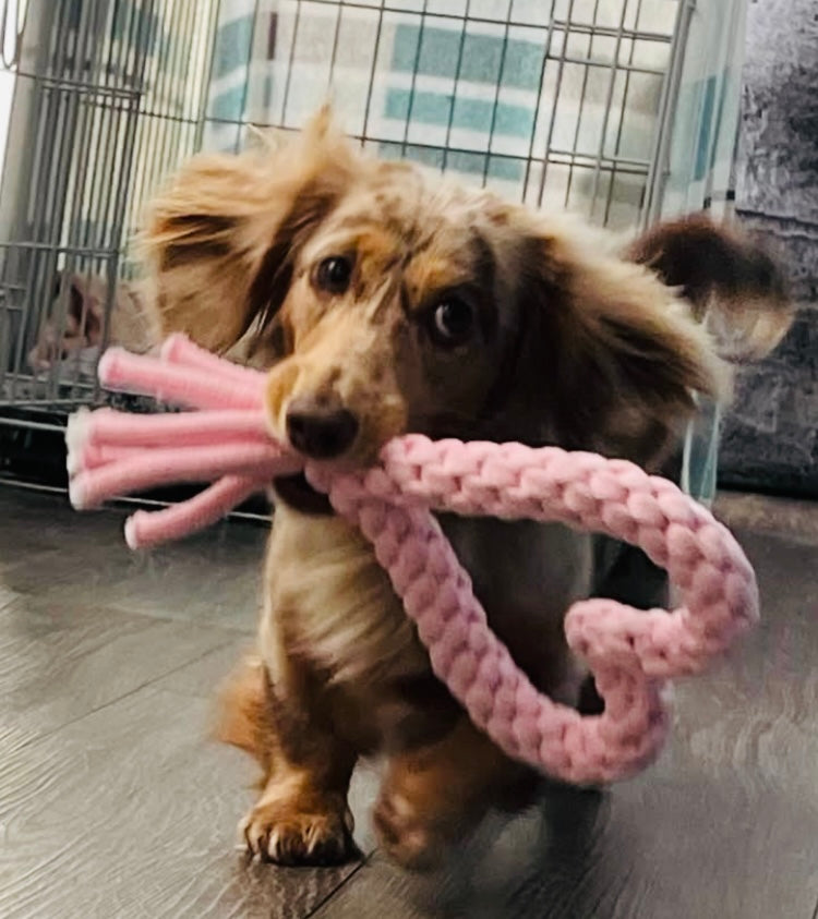 Handmade Rope Heart Toy