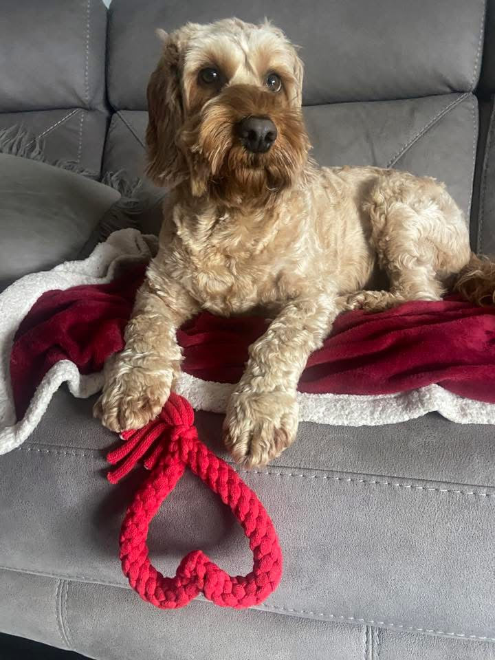 Handmade Rope Heart Toy