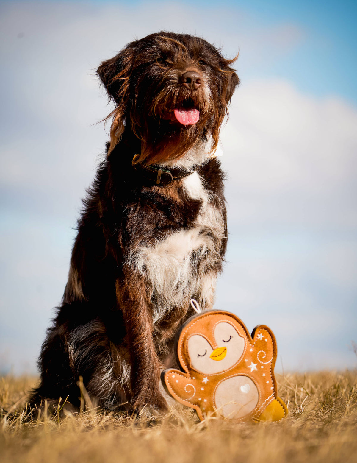 Christmas Poppy the Gingerbread Penguin Tough Dog Toy