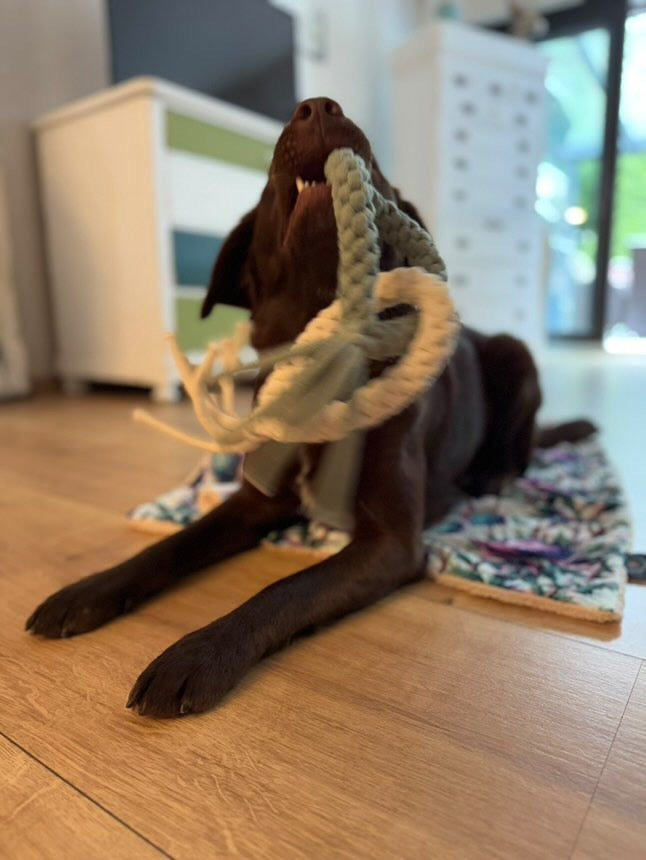 Handmade Double Loop Rope Tug Toy