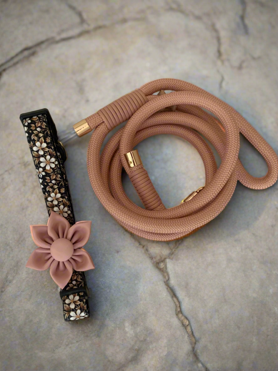 Black & Gold Floral Collar