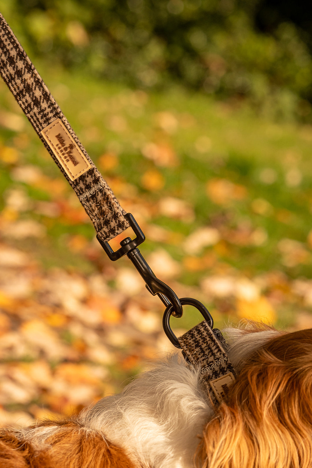 Highlands Collar