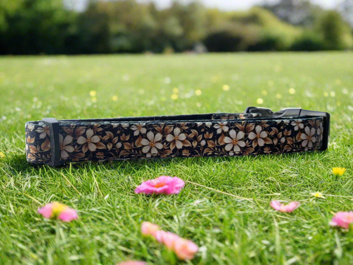 Dog collar with floral pattern on a stone ledge