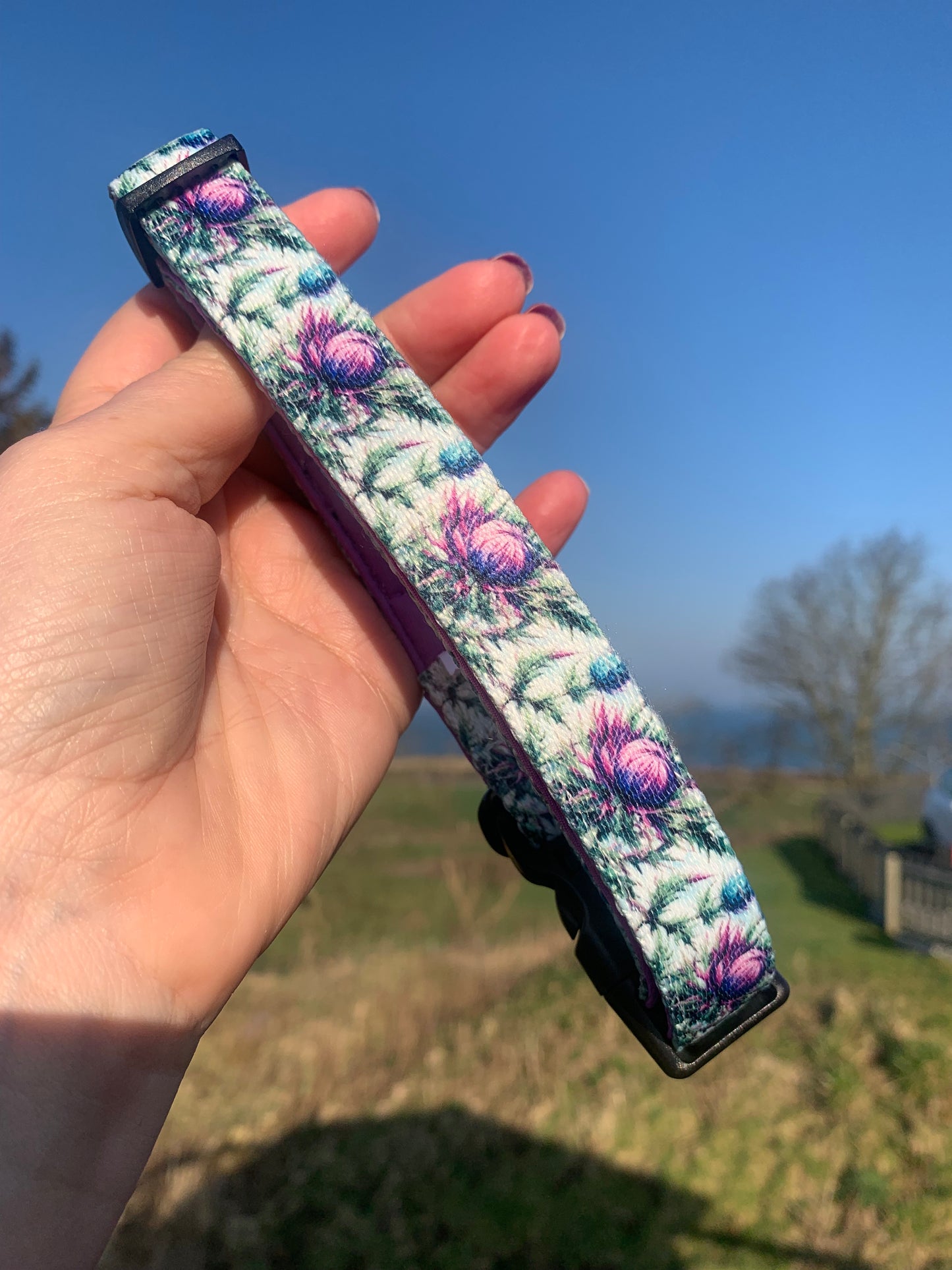 Stunning floral dog collar in a thistle pattern