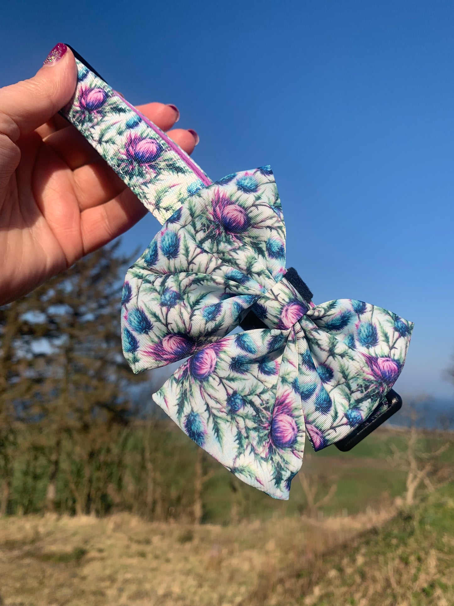 Stunning floral dog collar and sailor box