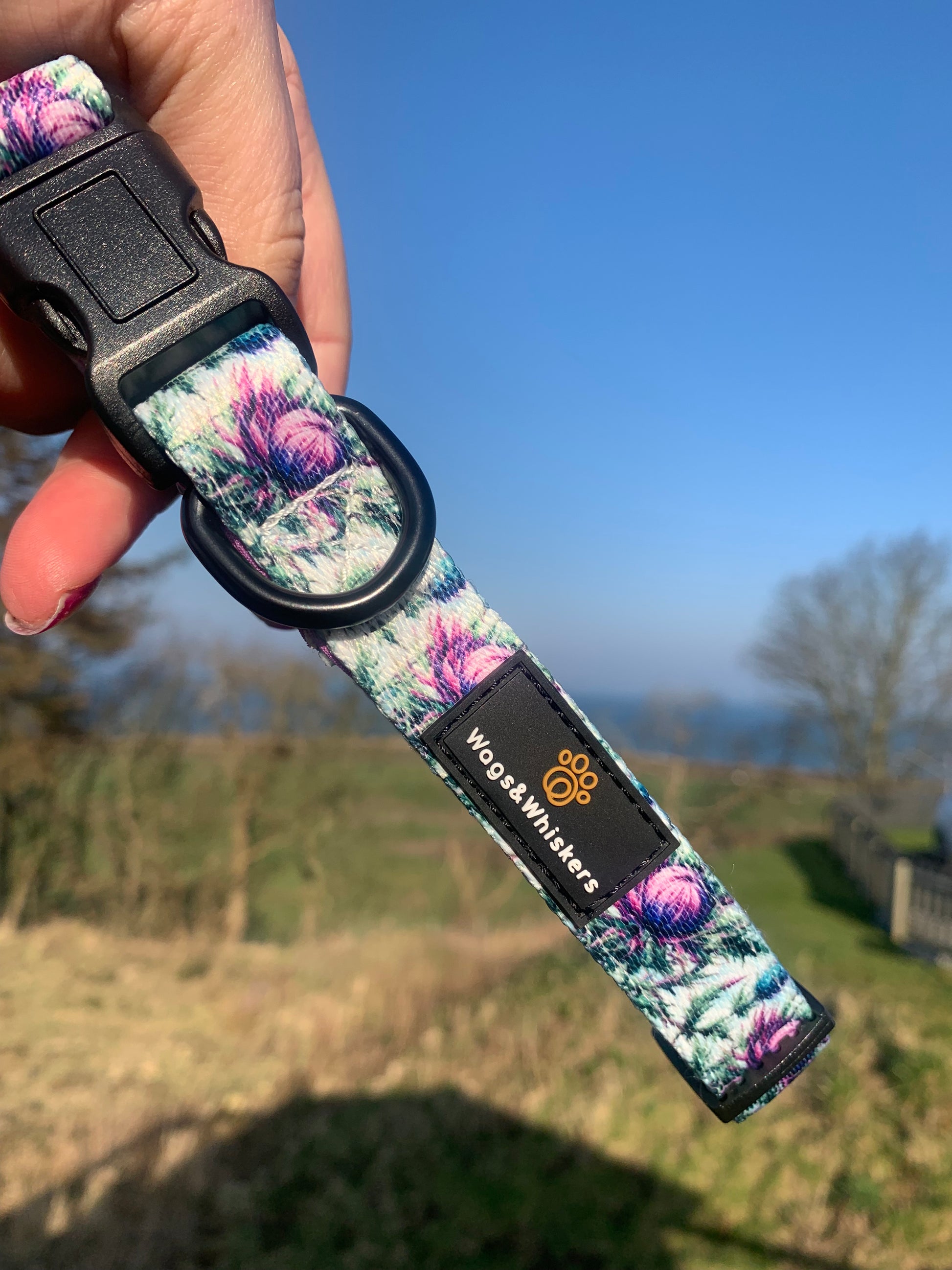 Stunning floral dog collar thistle pattern