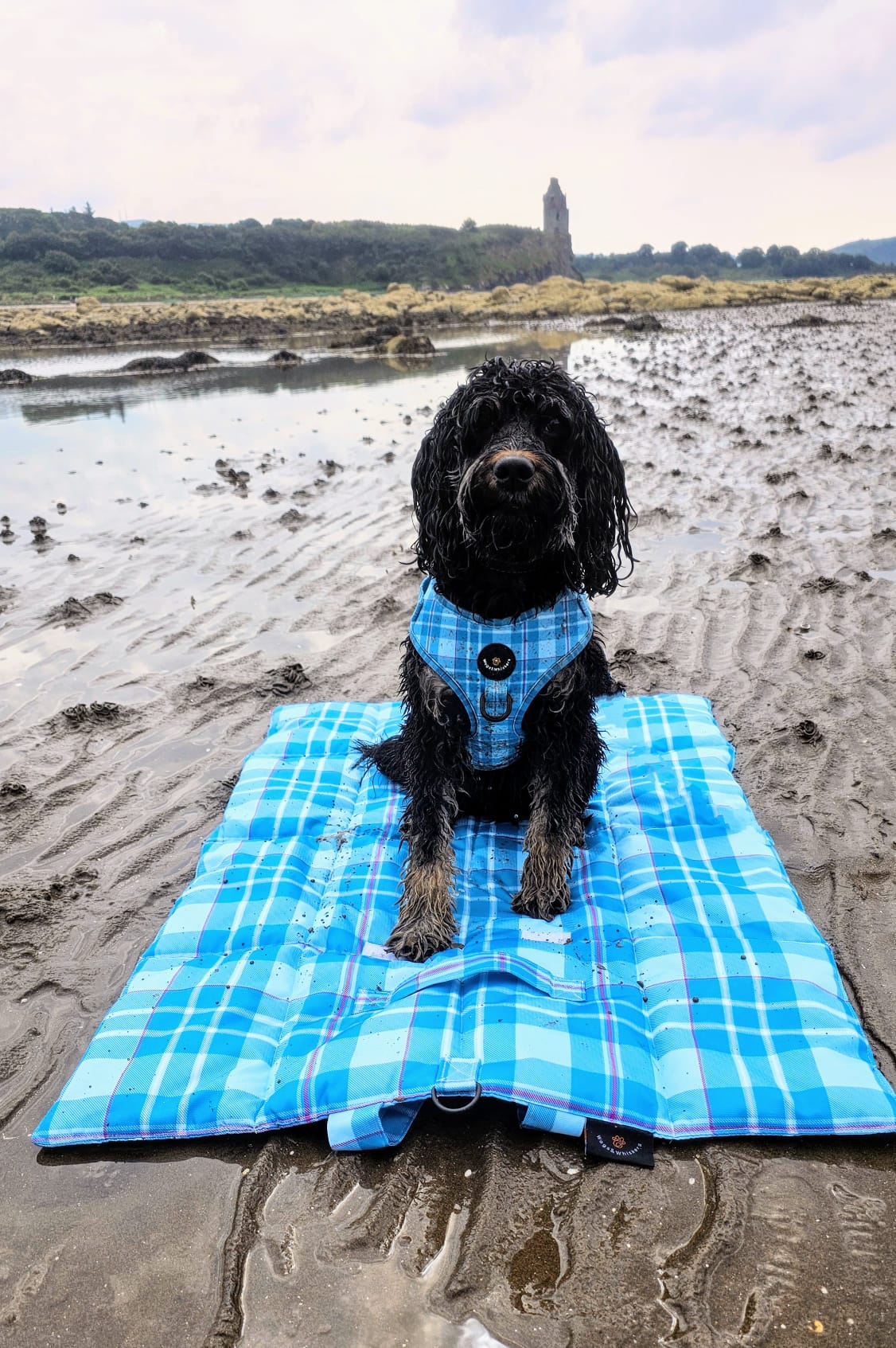 Turquoise Tartan Travel and Settle Mat
