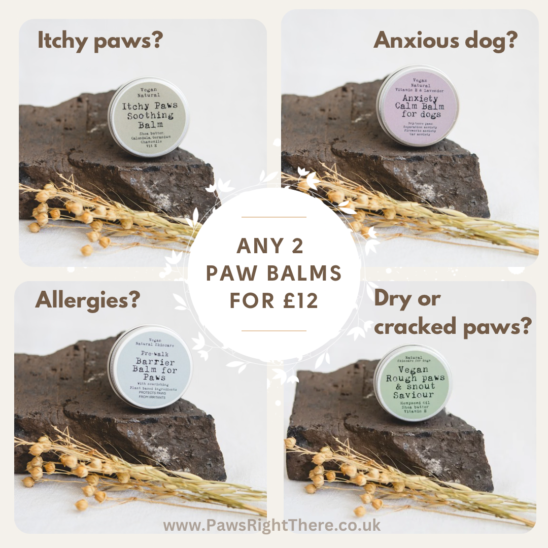 Pet-Sun Protection Balm