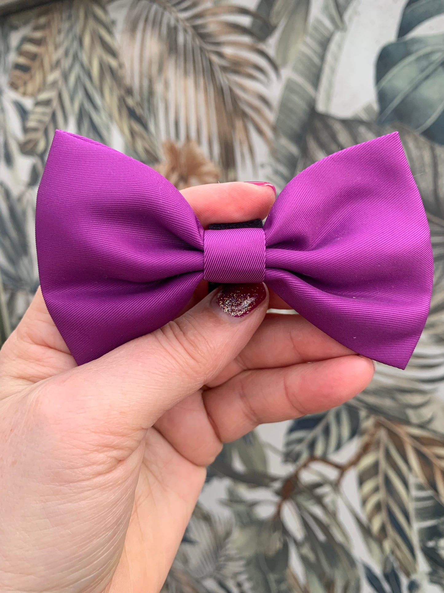 Magenta Bow Collar Accessory