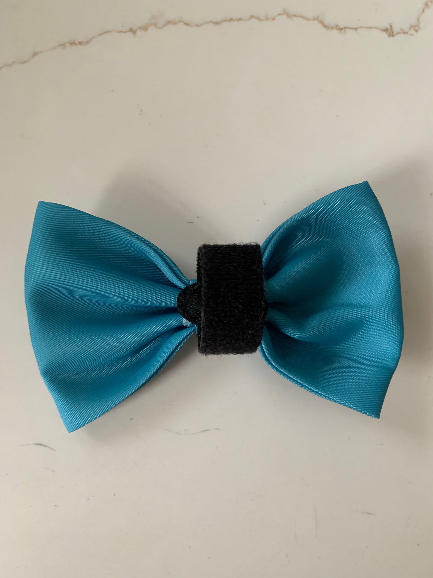 Turquoise Bow Collar Accessory