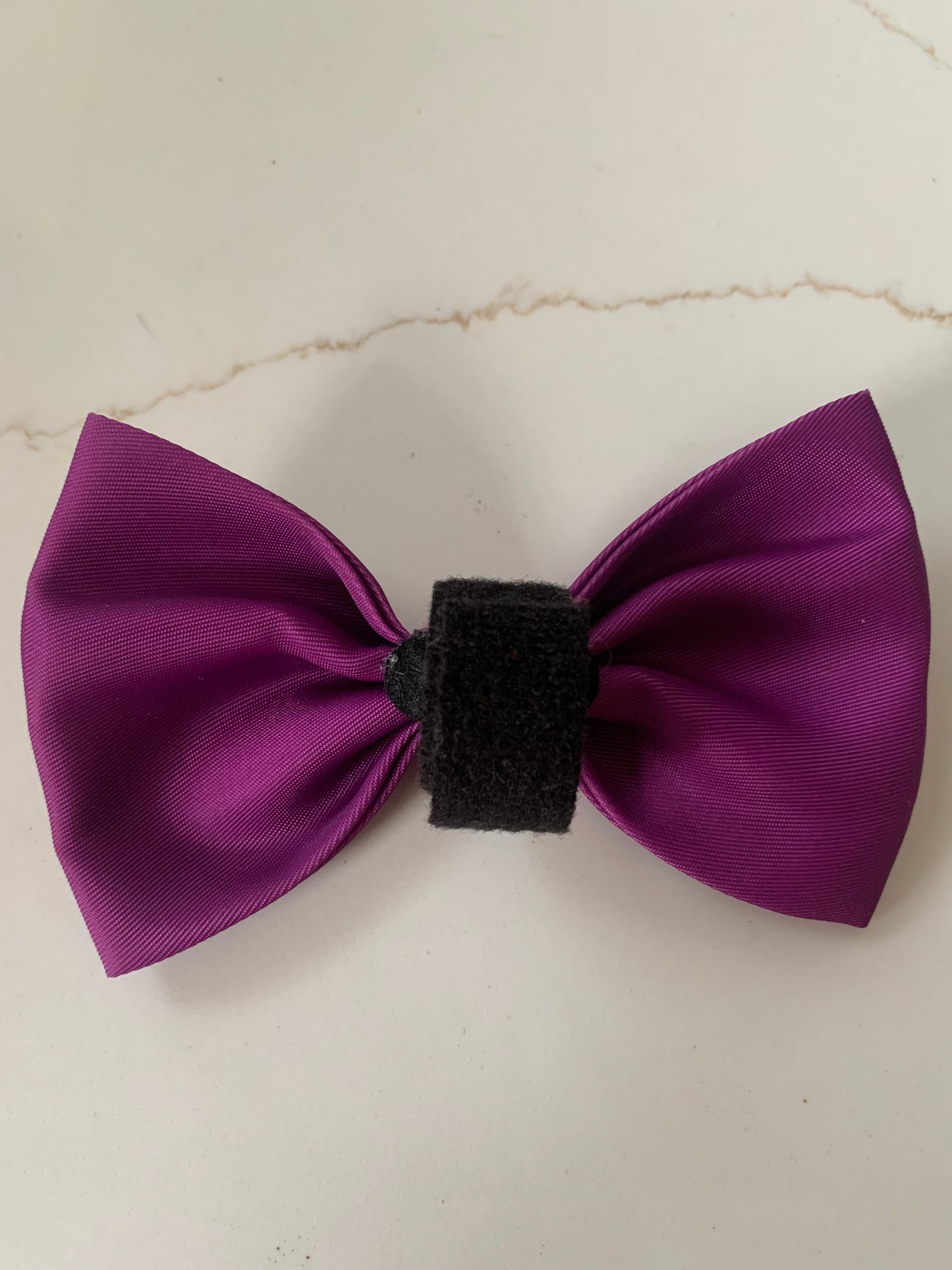 Magenta Bow Collar Accessory