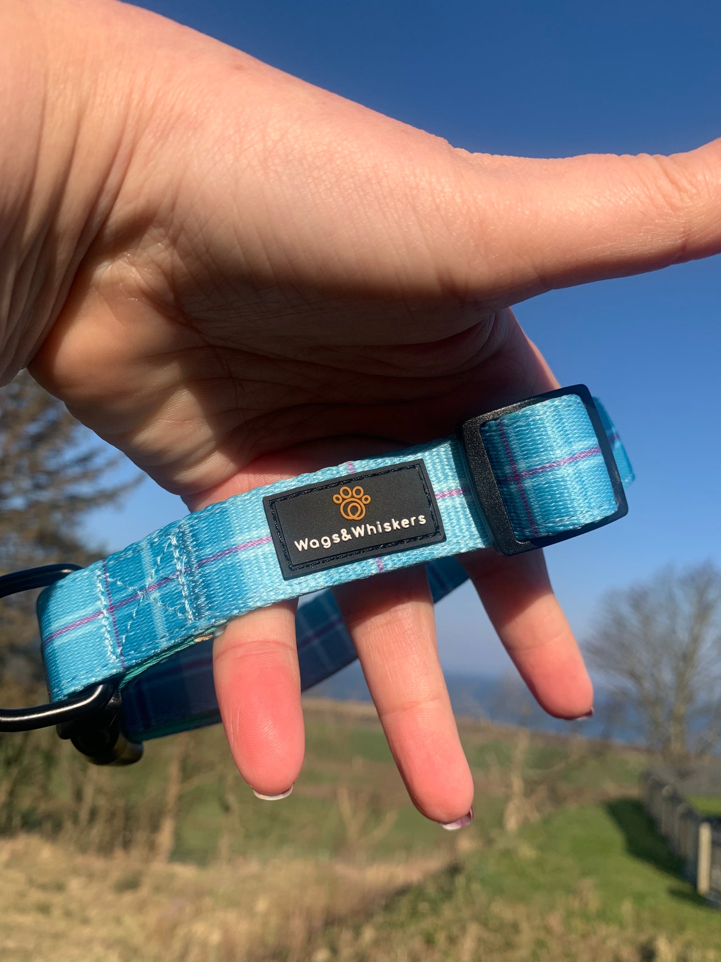 Turquoise Tartan Collar