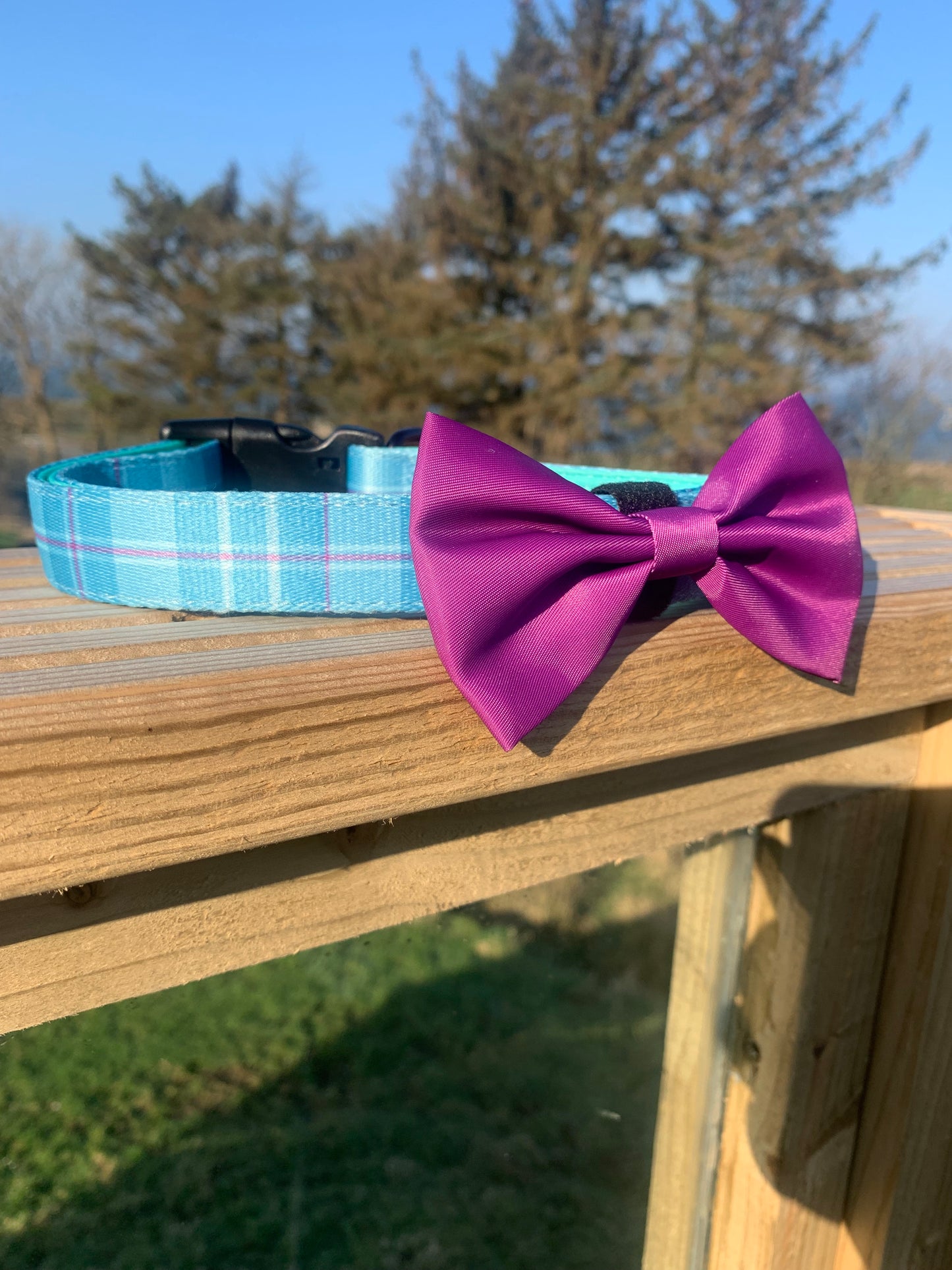 Magenta Bow Collar Accessory