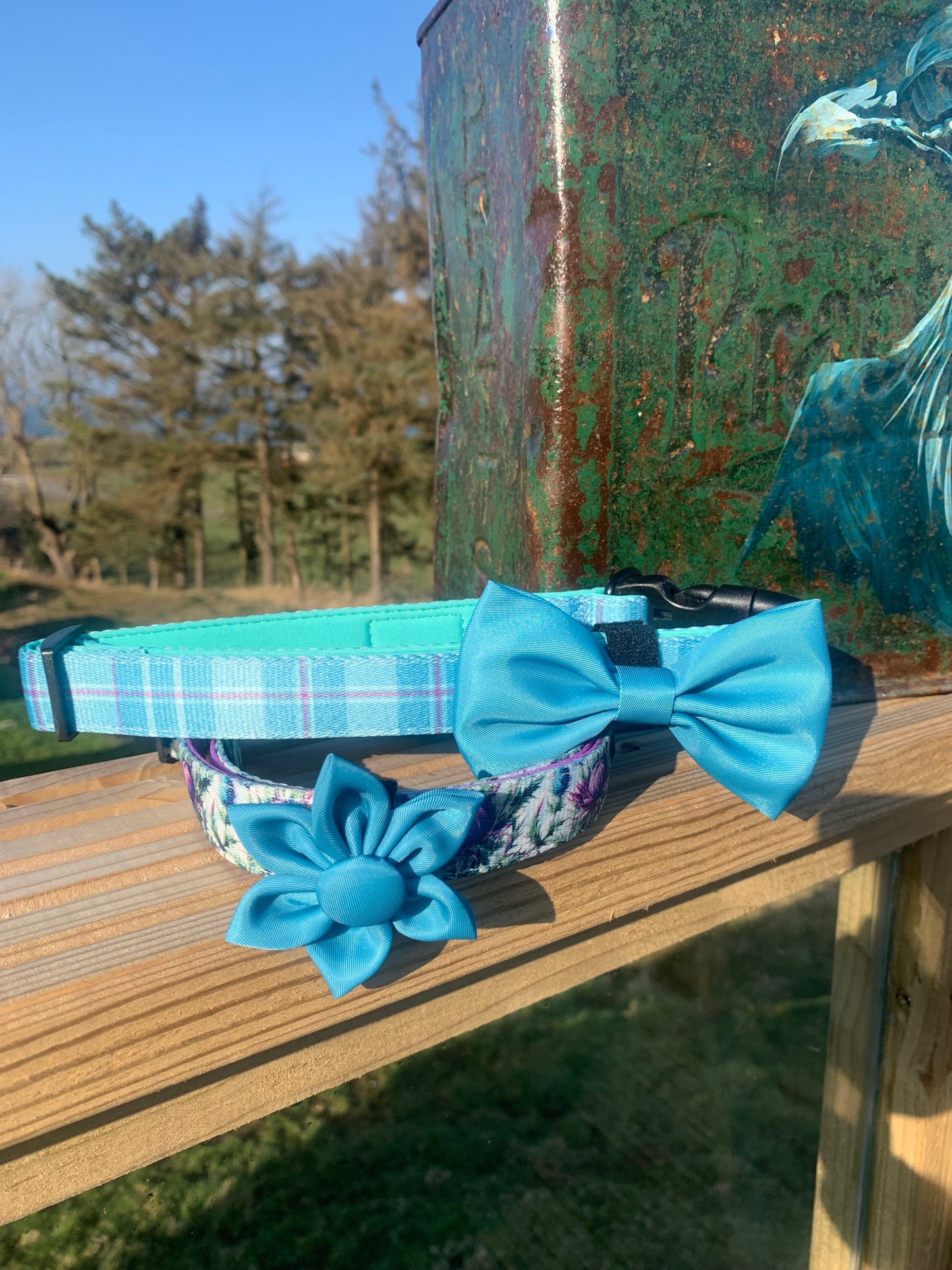 Turquoise Tartan Collar