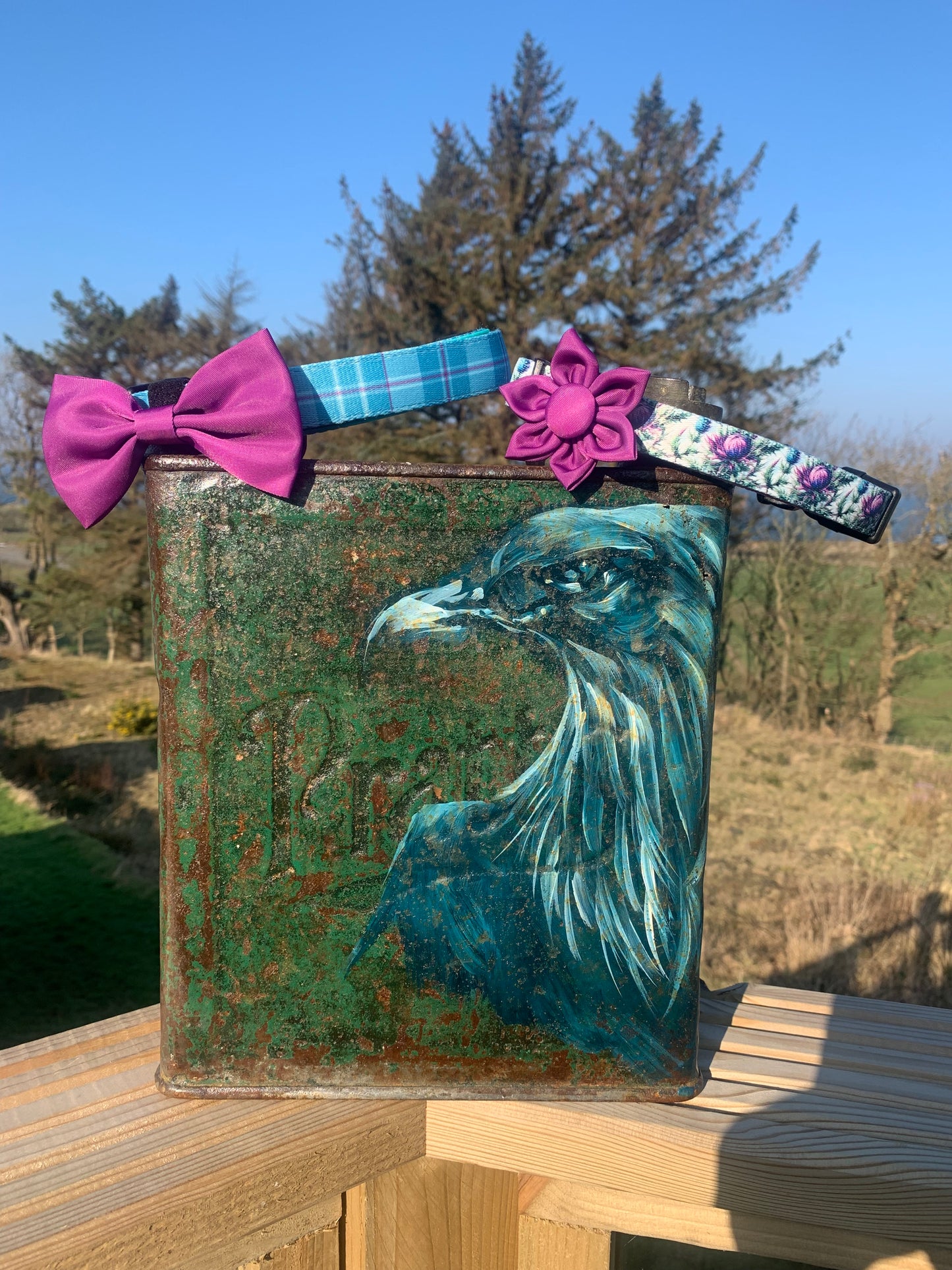 Magenta Bow Collar Accessory