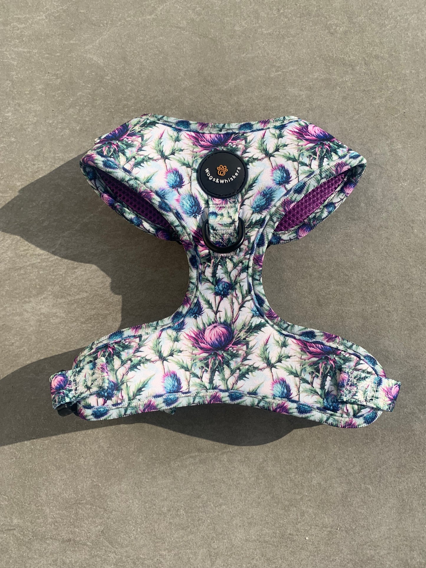 Bonnie Thistle Harness