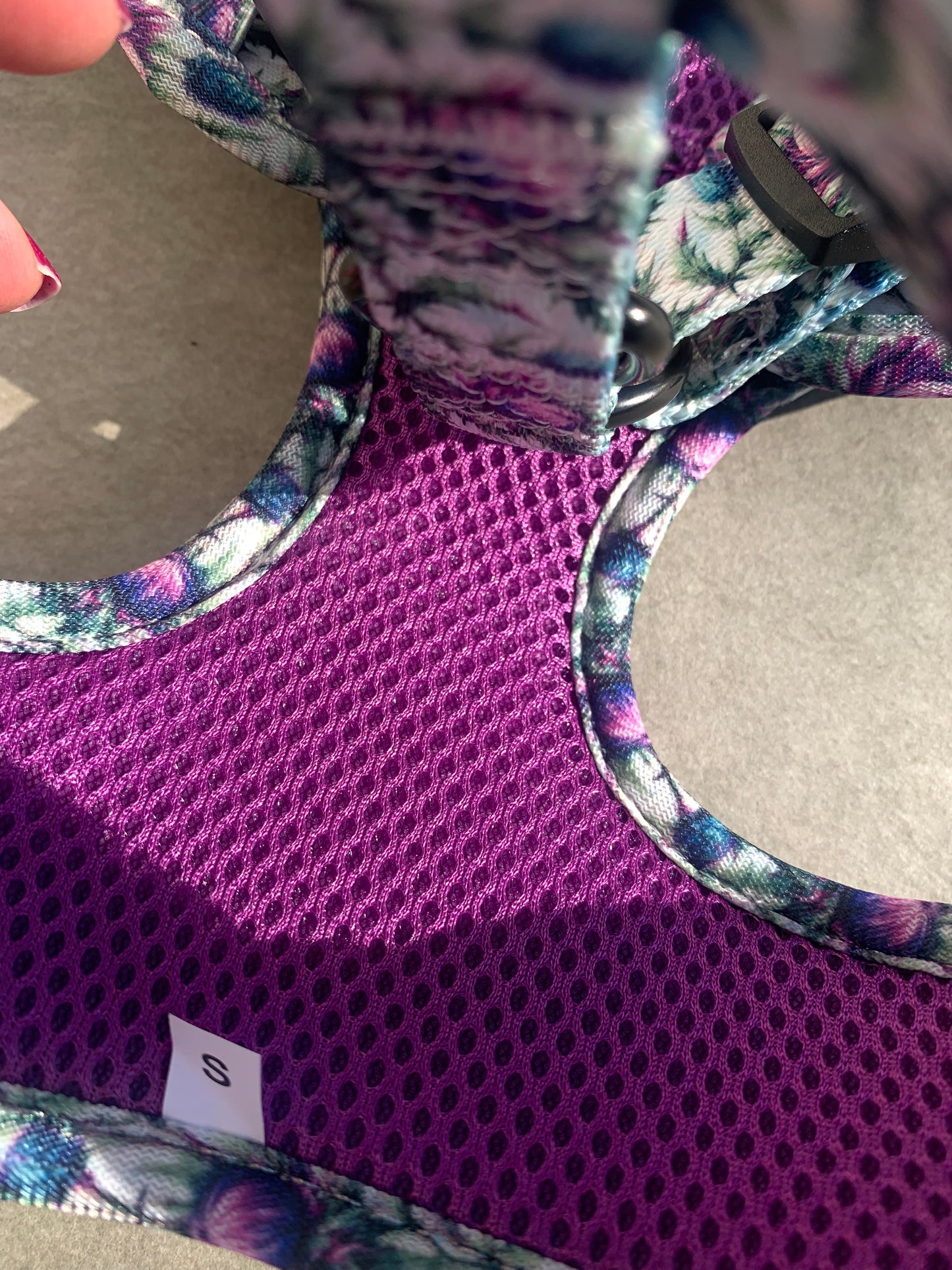 Bonnie Thistle Harness