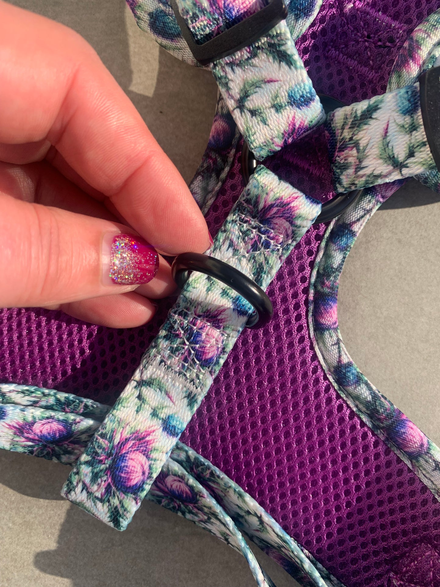 Bonnie Thistle Harness