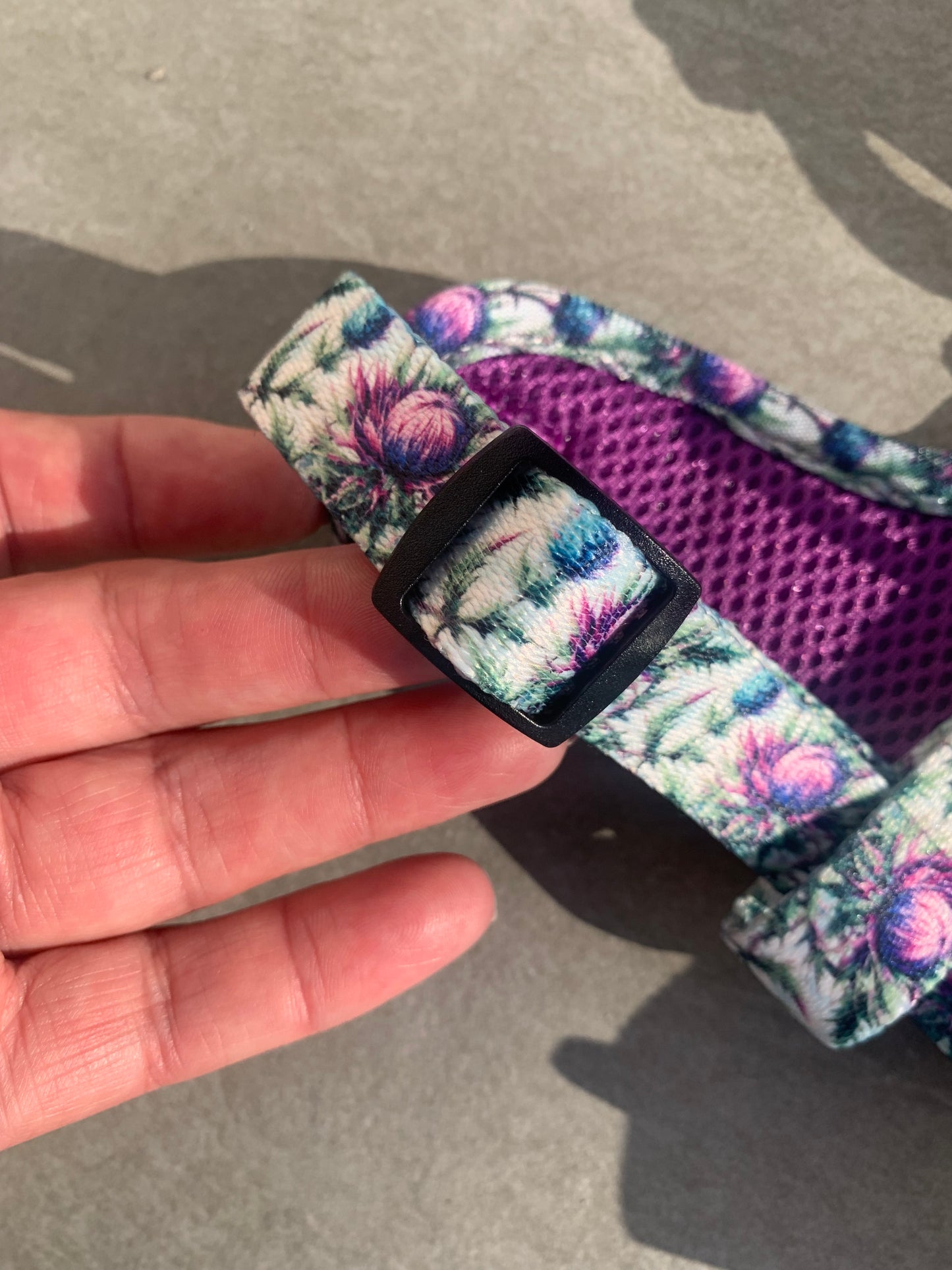Bonnie Thistle Harness