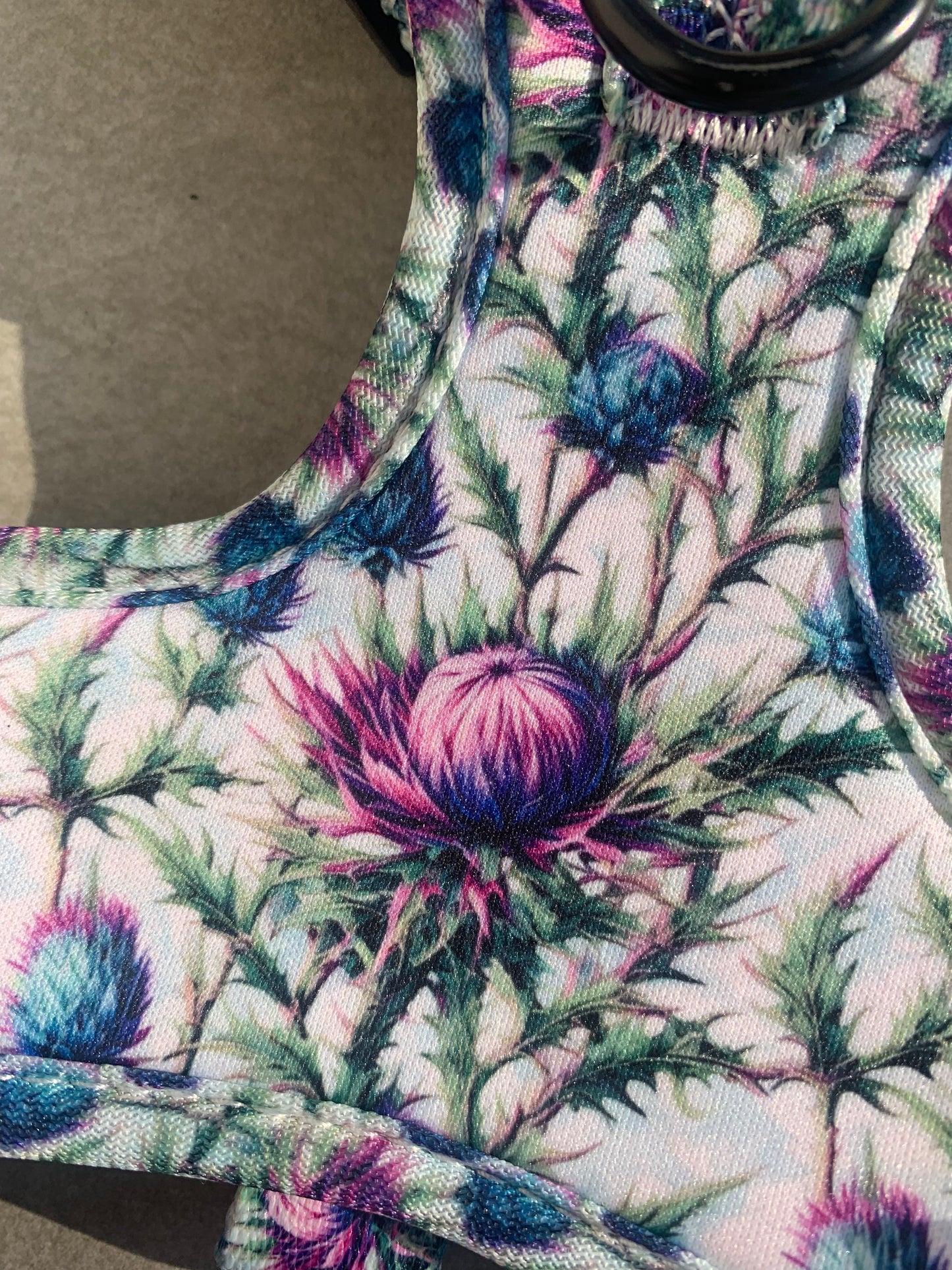 Bonnie Thistle Harness