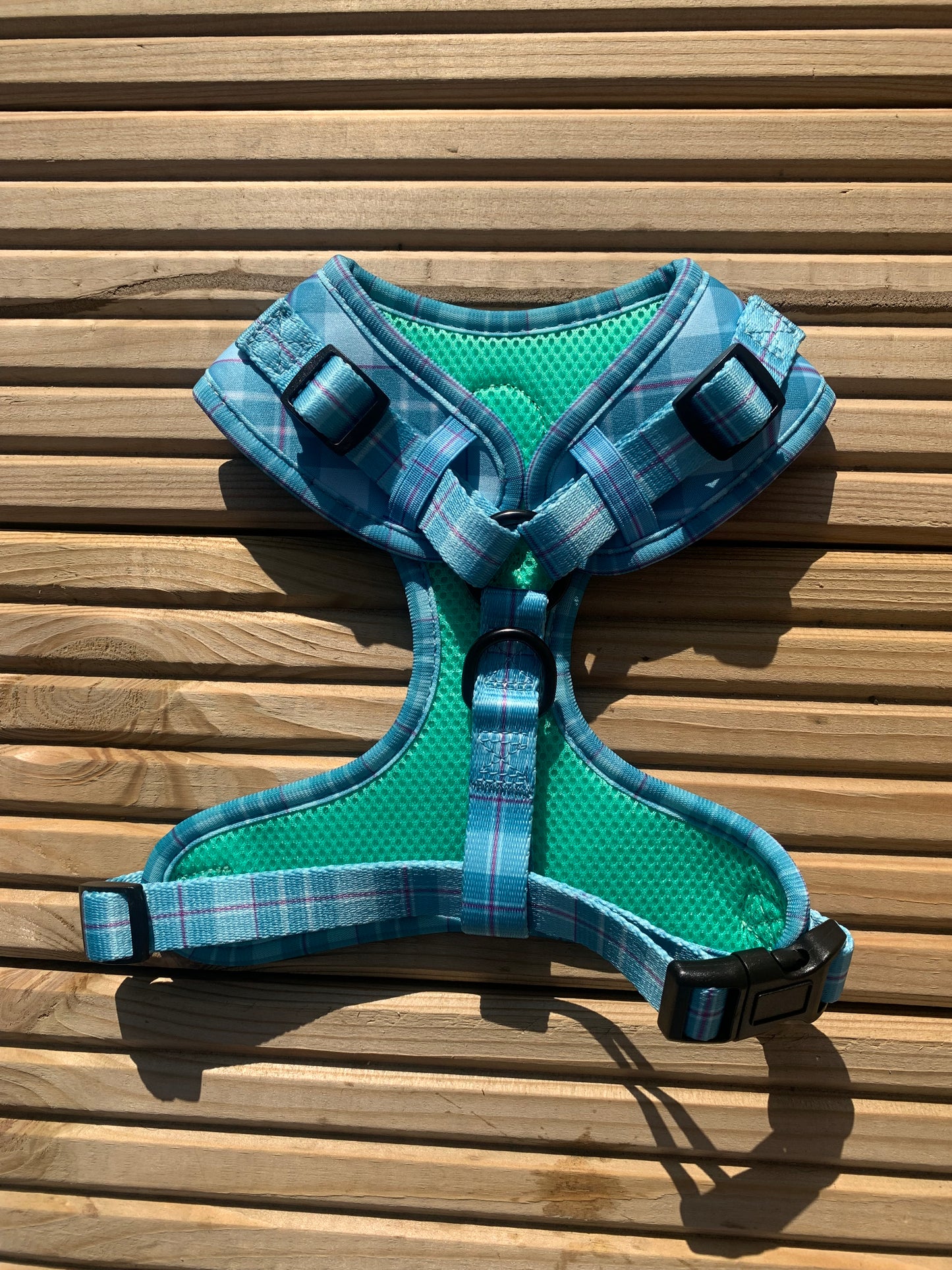 Turquoise Tartan Harness