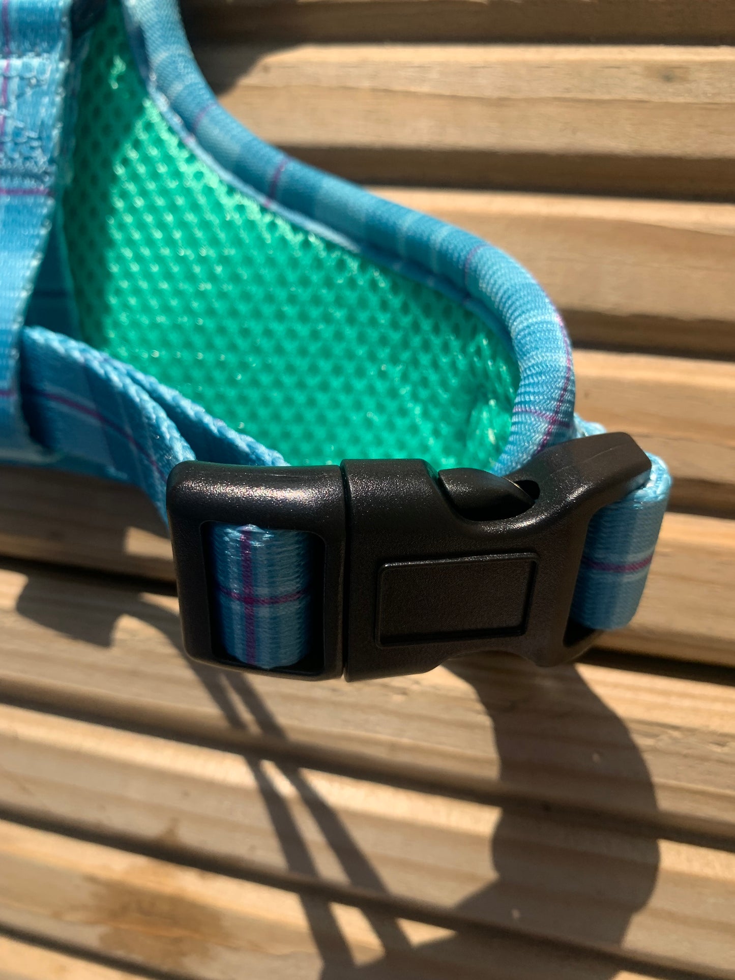 Turquoise Tartan Harness