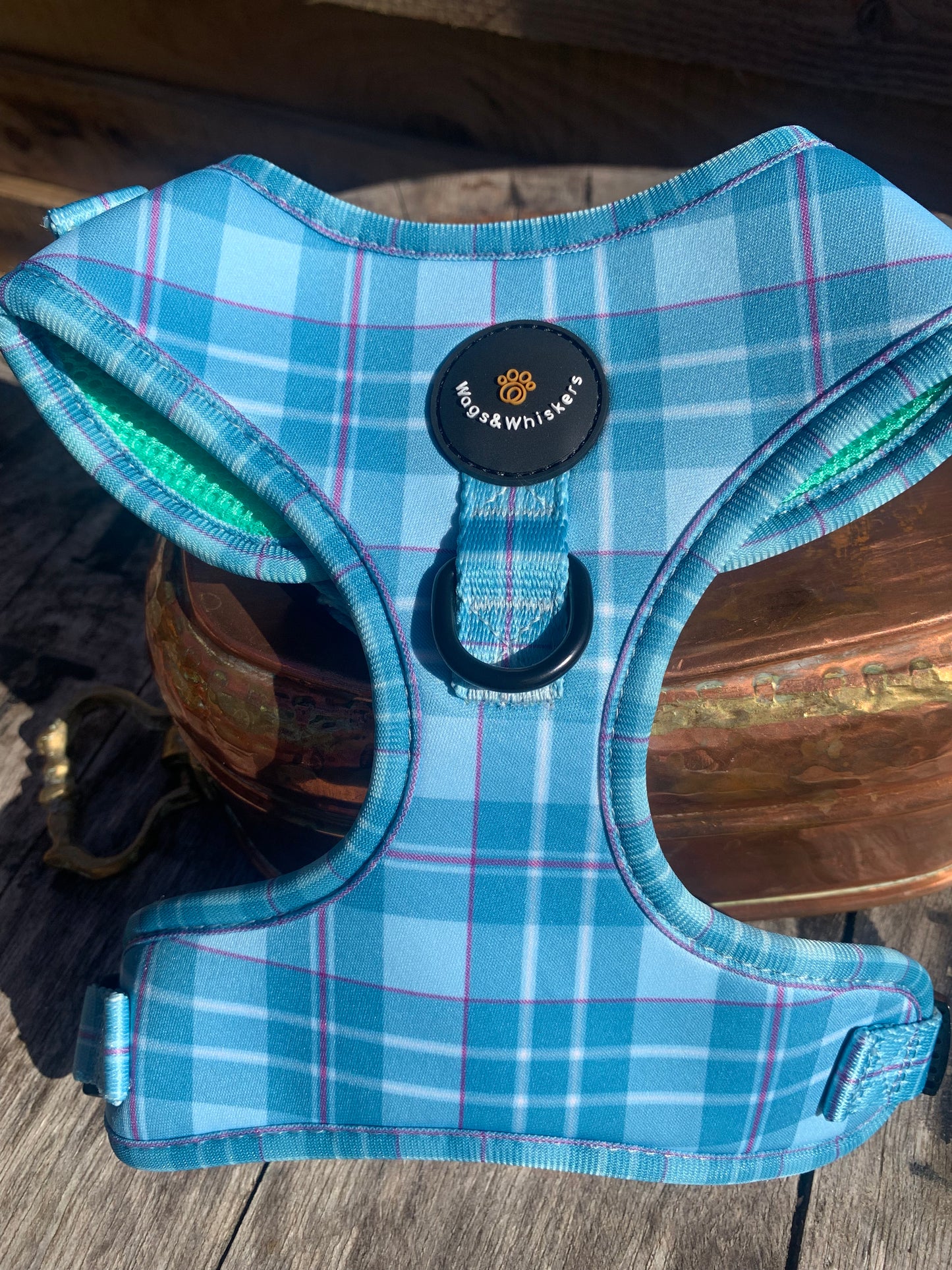 Turquoise Tartan Harness