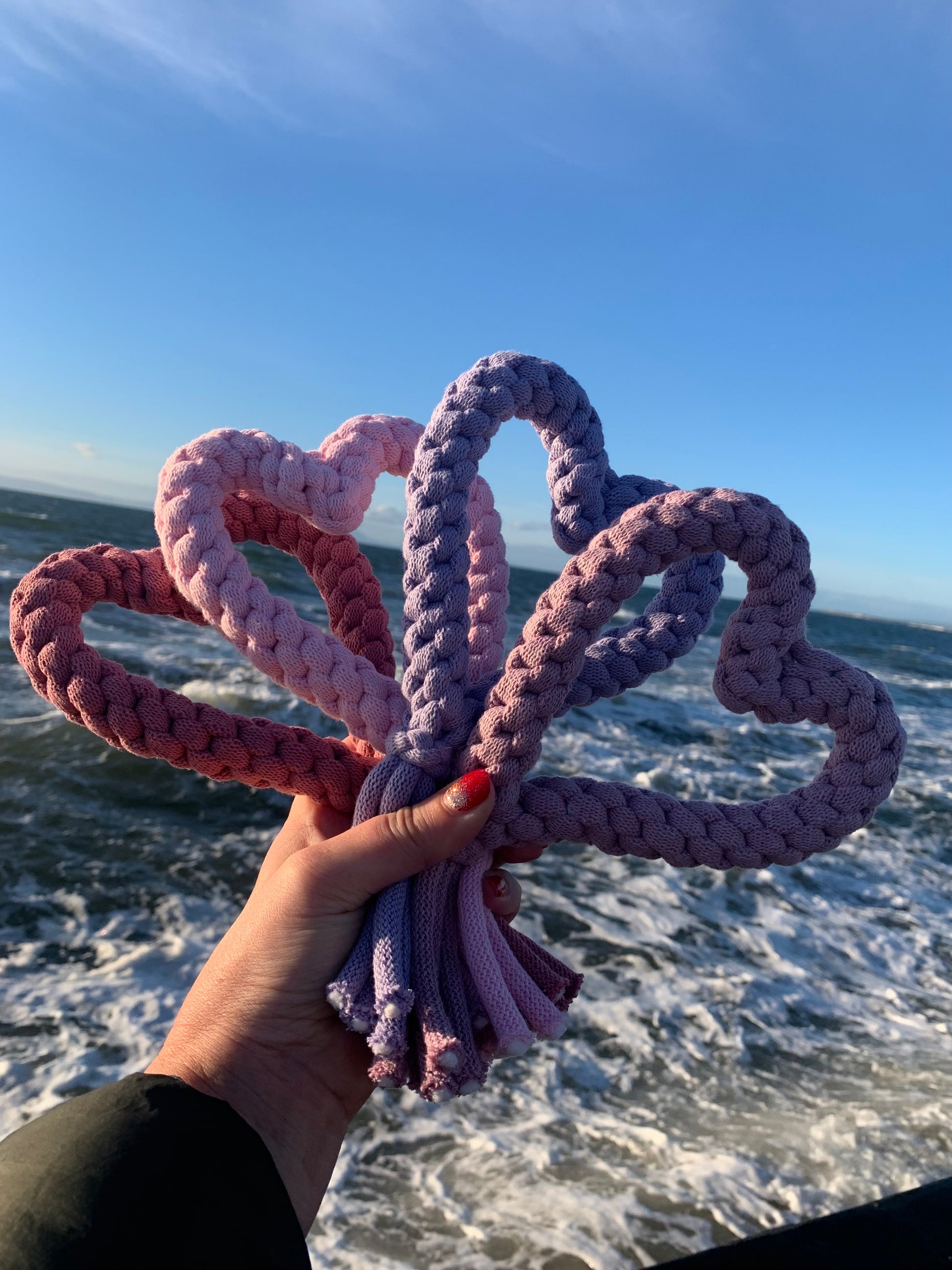 Interactive heart shape rope dog toy