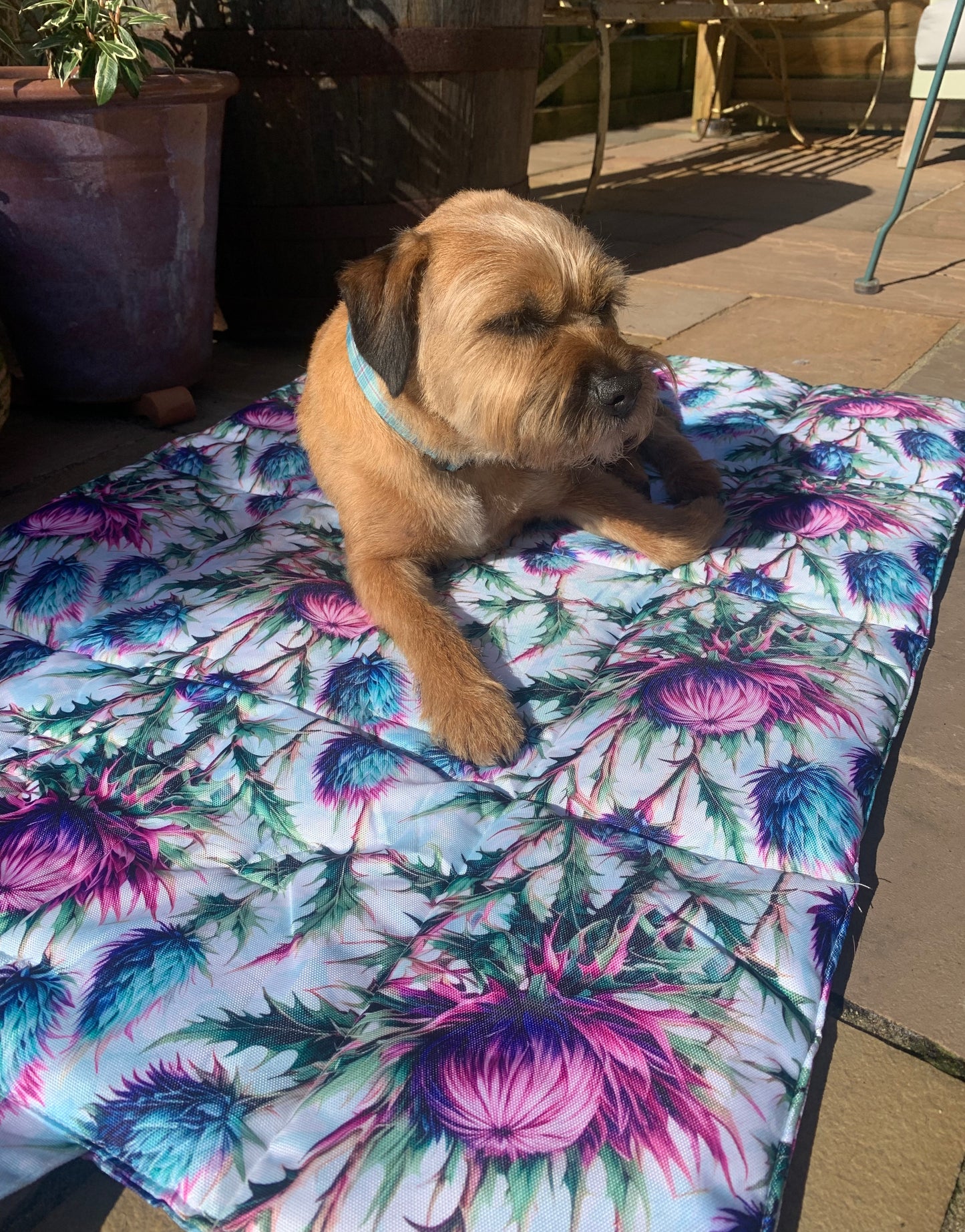 Water resistant travel training settle mat for dogs