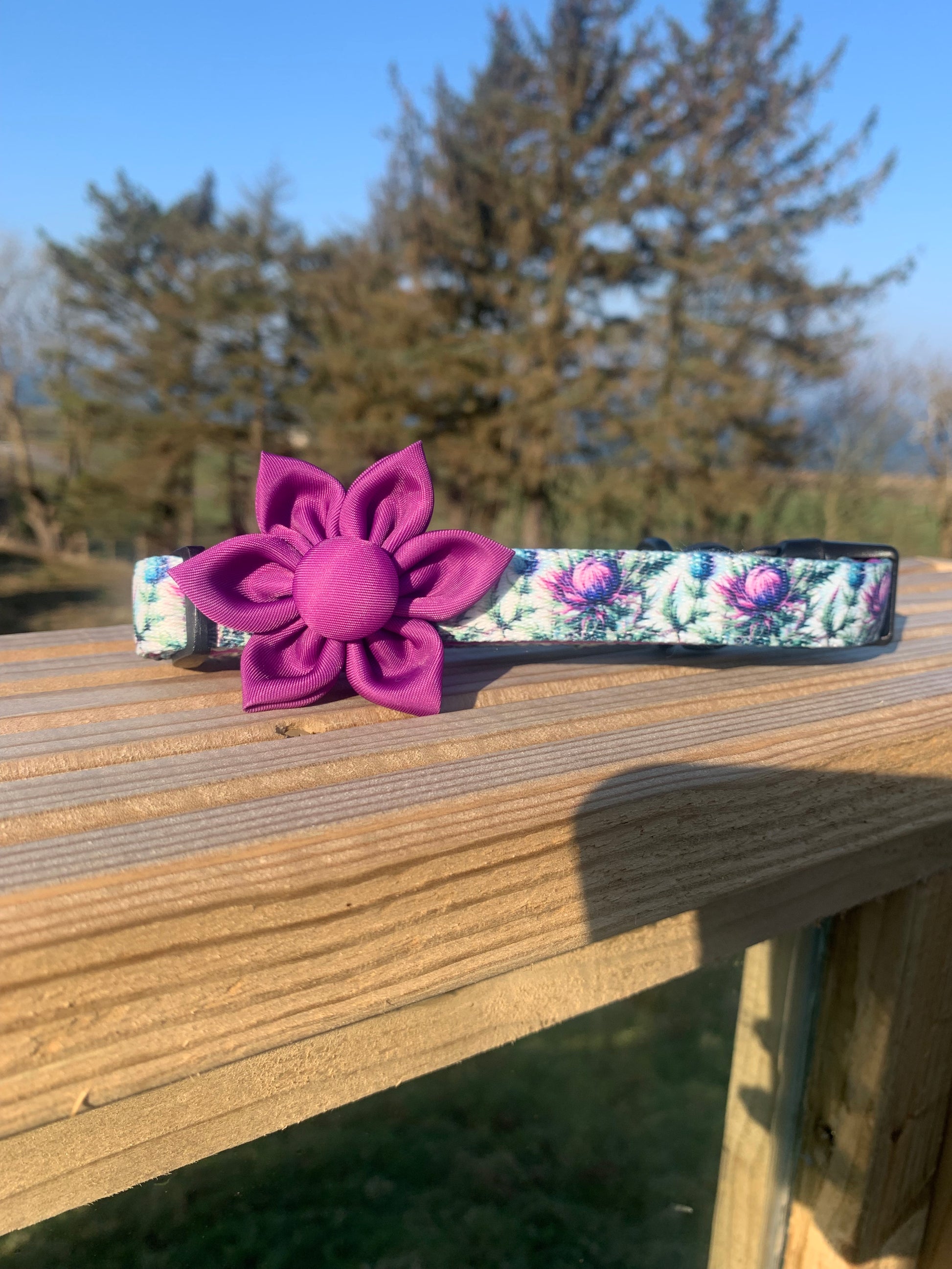 Stunning dog collar with magenta flower