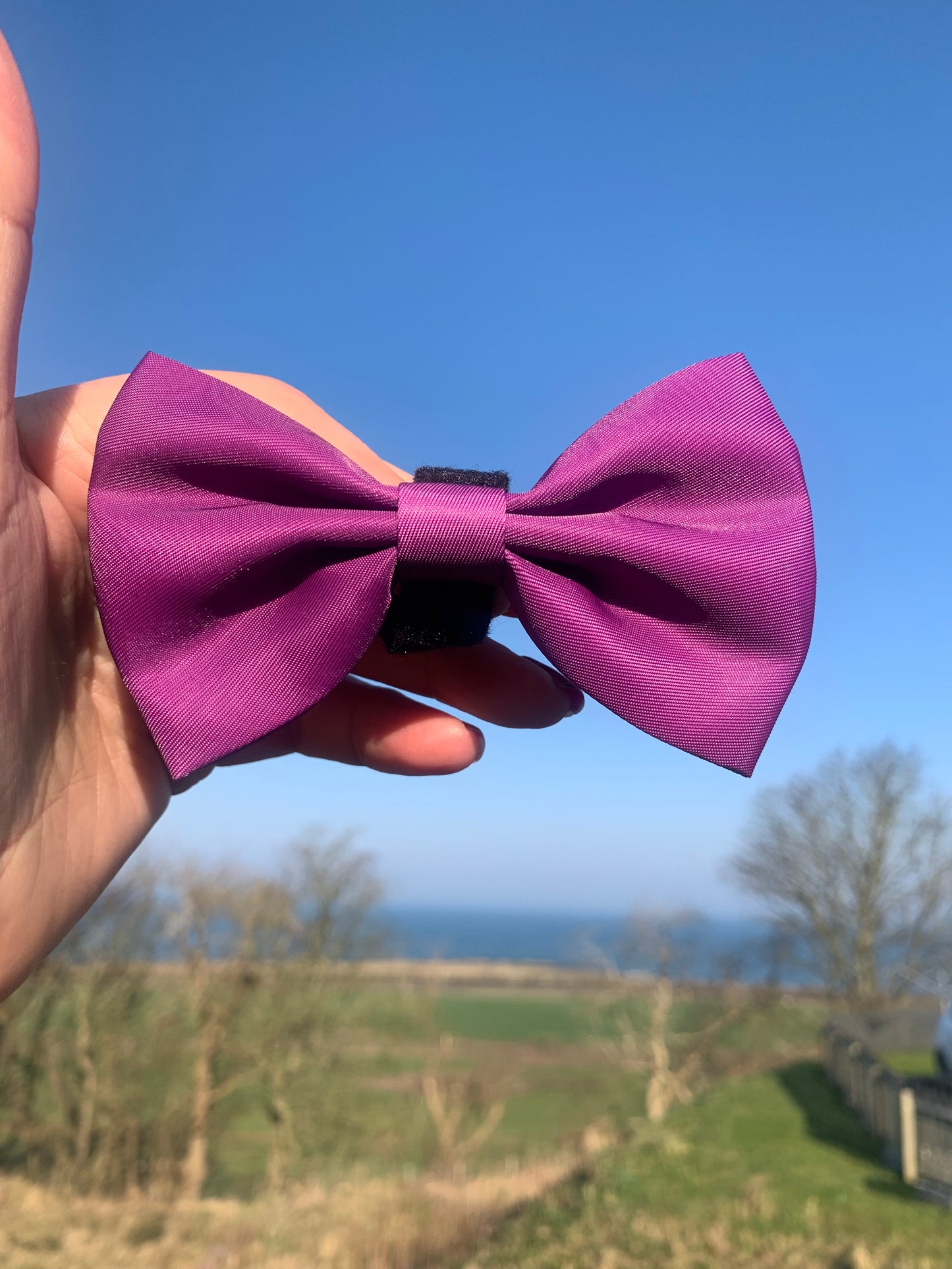 Magenta purple bow pet collar accessory
