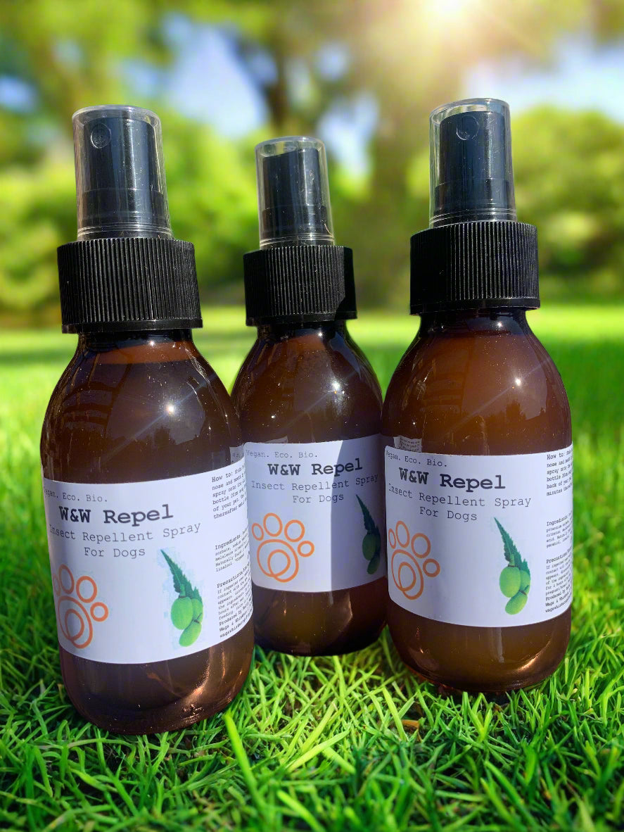 Natural flea treatment for dogs