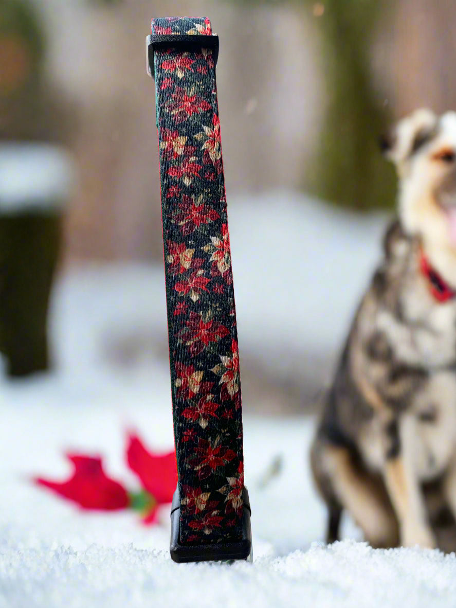 Poinsettia floral-patterned collar with a blurred outdoor background