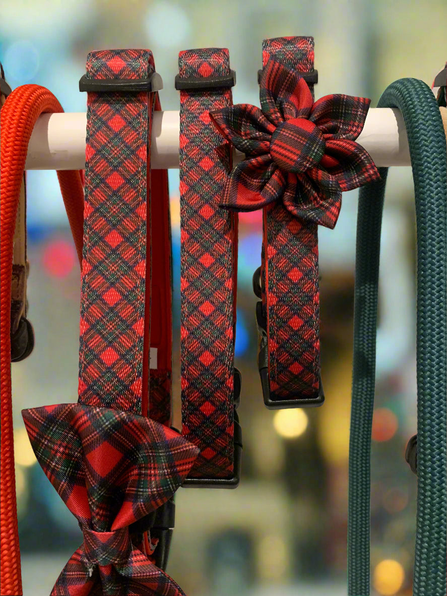 Royal Stewart Tartan Bow Collar Accessory
