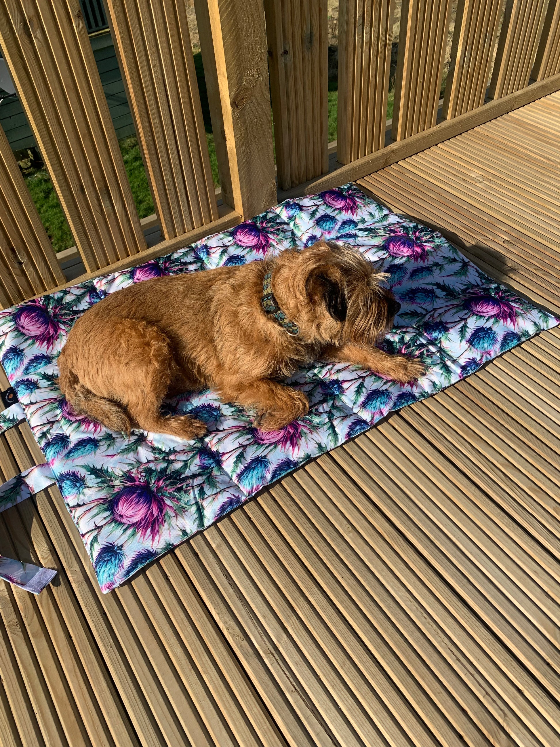 Training travel and settle mat for dogs