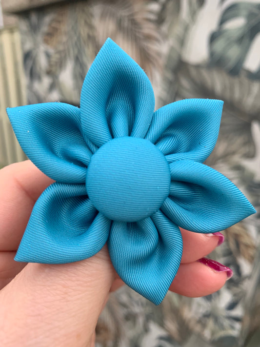 Turquoise blue flower pet collar accessory