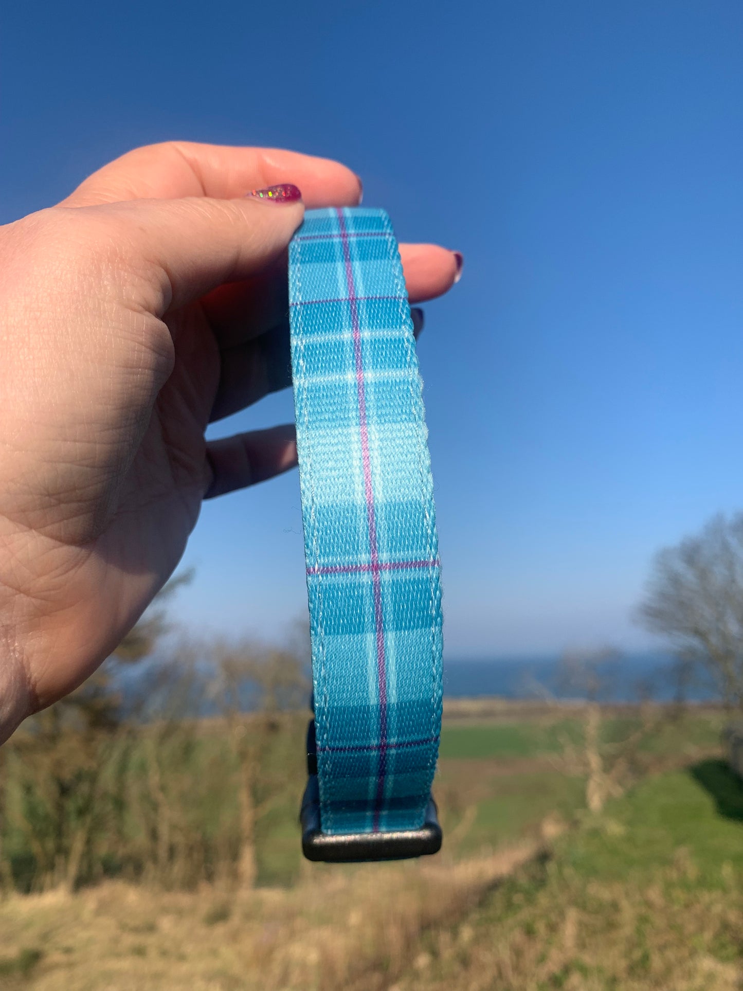 Stunning turquoise tartan pet collar