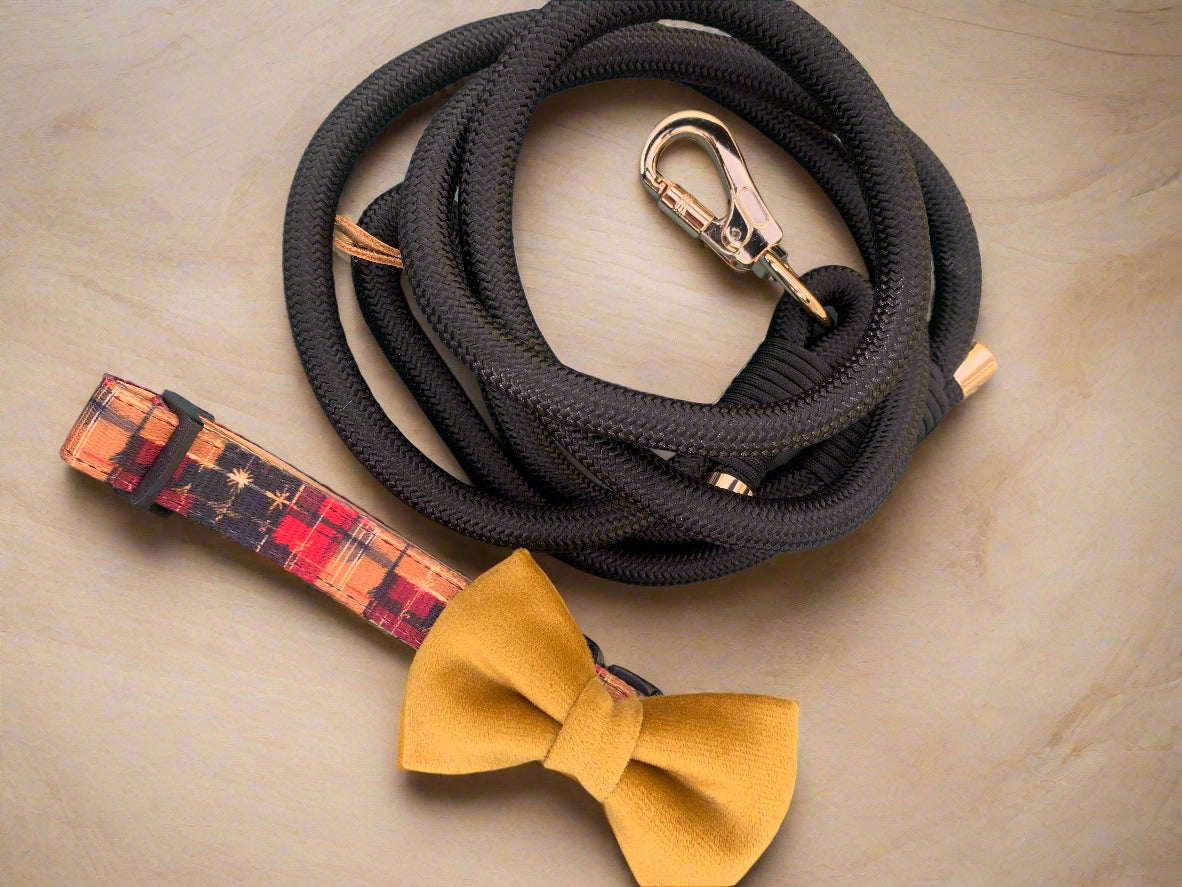 Dog leash with plaid pattern and yellow bow tie on a light blue background