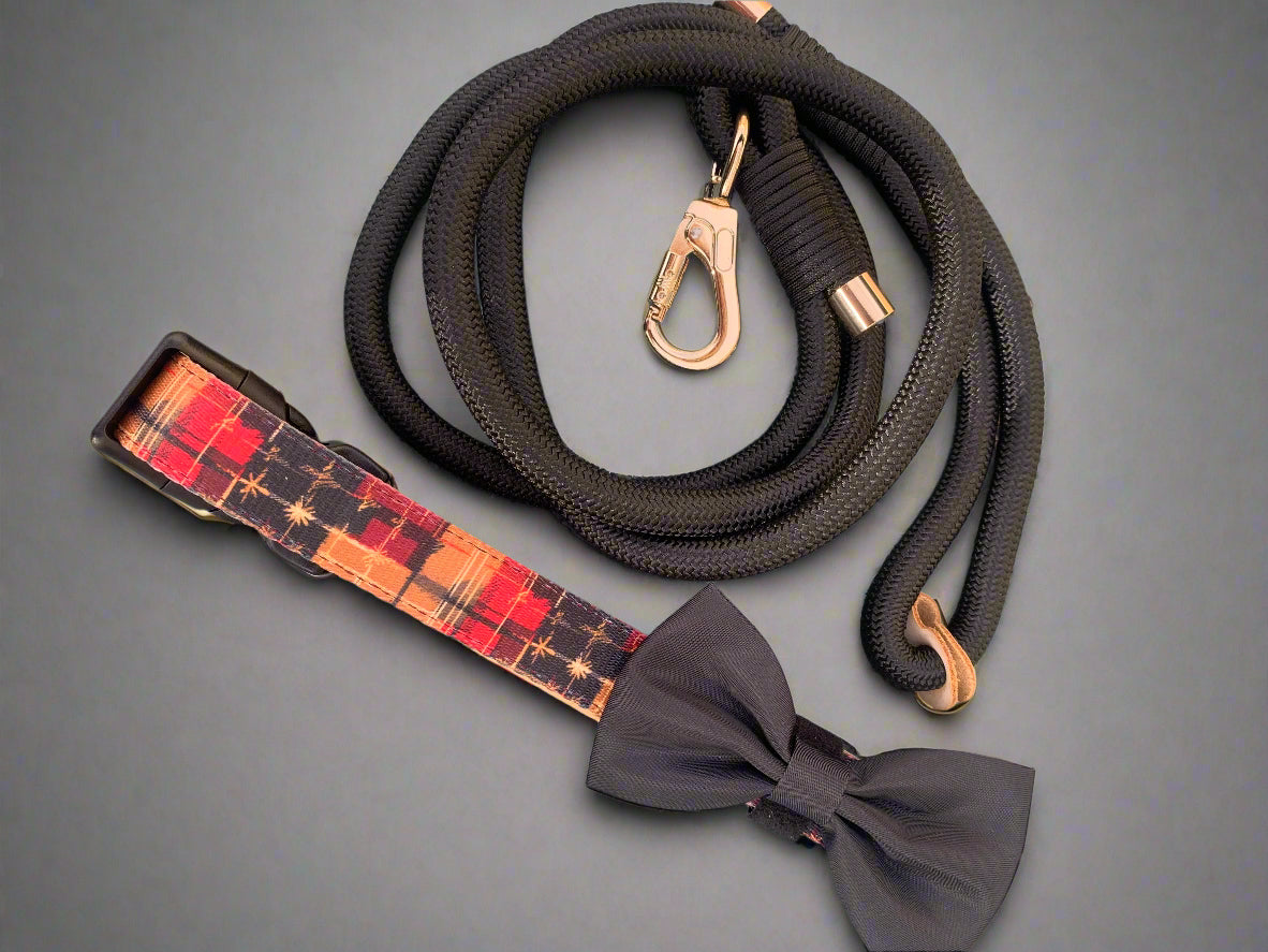 Dog leash with bow tie and plaid pattern on a decorative background
