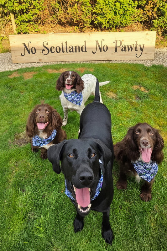 No Scotland. No Pawty