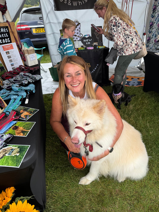 What A Summer! Personalised Dog Collars, Walking Sets & Christmas Gift Ideas