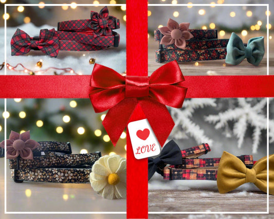 December News – A Heartfelt Thank You🎄