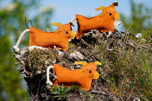 Hamish the Highland Cow Eco Dog Toy