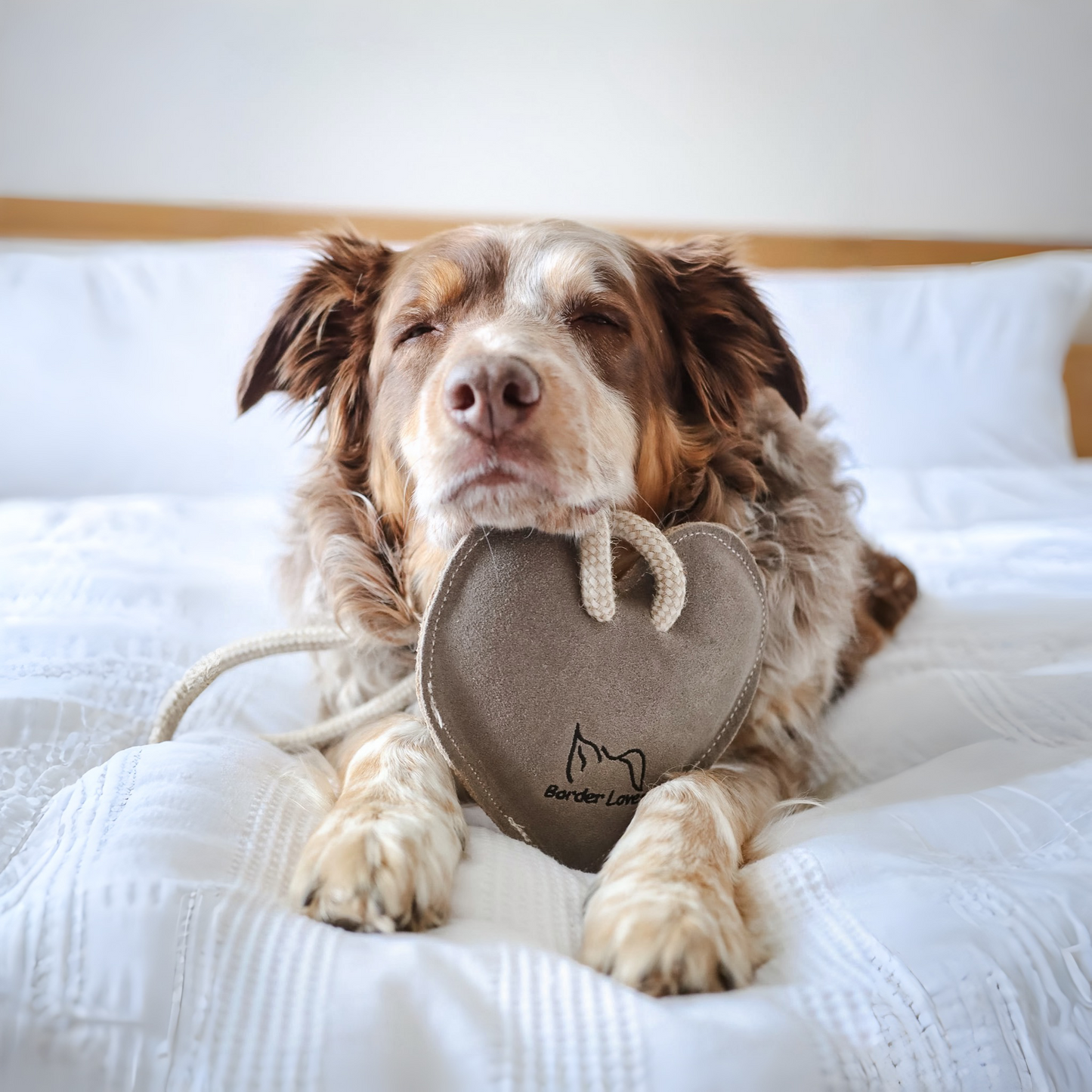 All Natural Heart on a Rope Eco Dog Toy