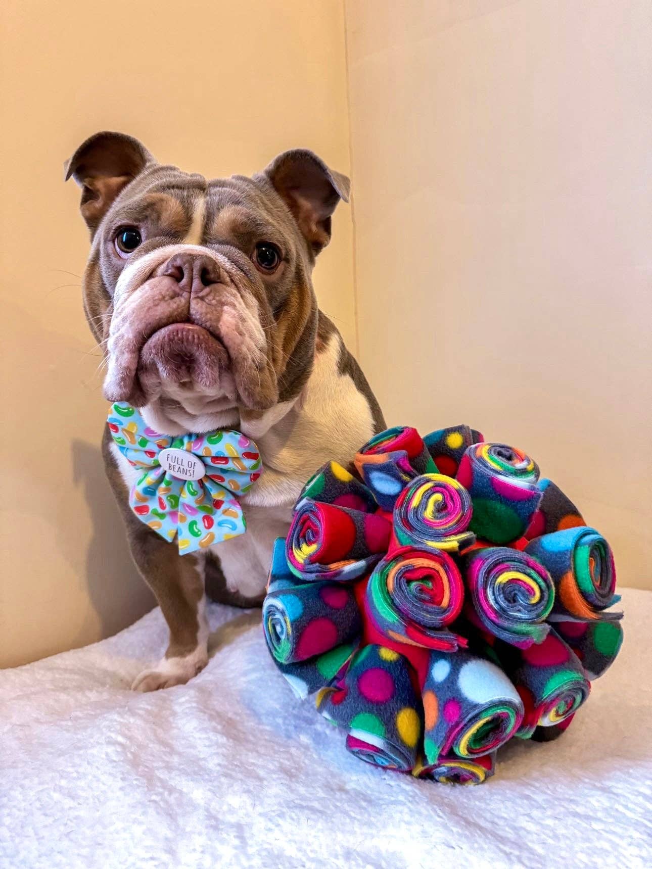 Snuffle Cage Ball