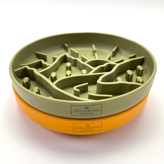 Enchanted Forest Slow Feeder