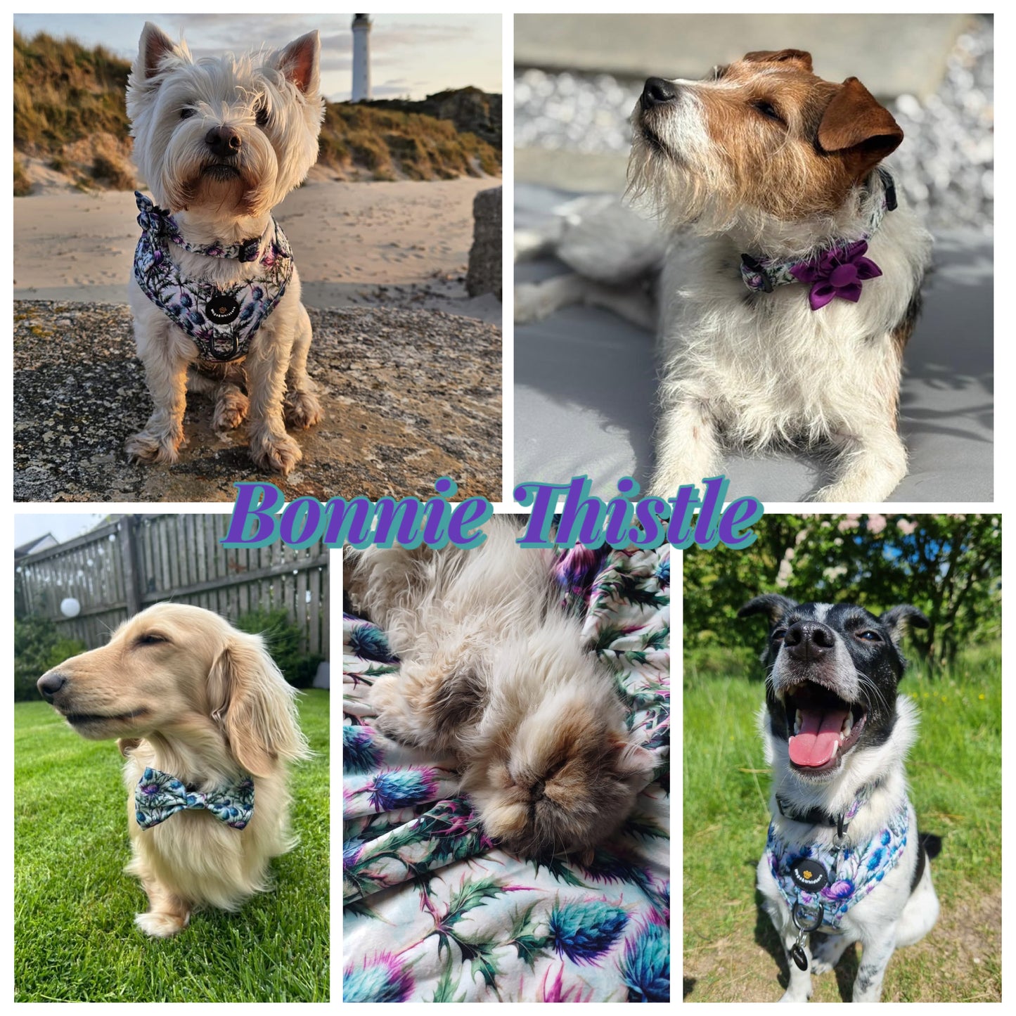 Bonnie Thistle Snuggle Blanket