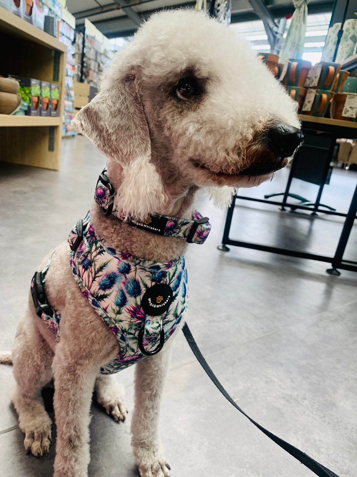 Adjustable Harness Bonnie Thistle