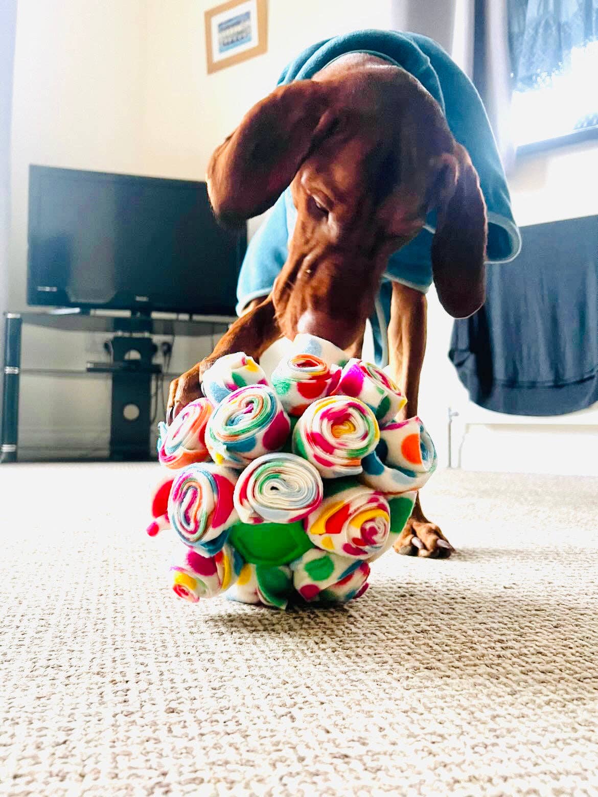 Snuffle Cage Ball
