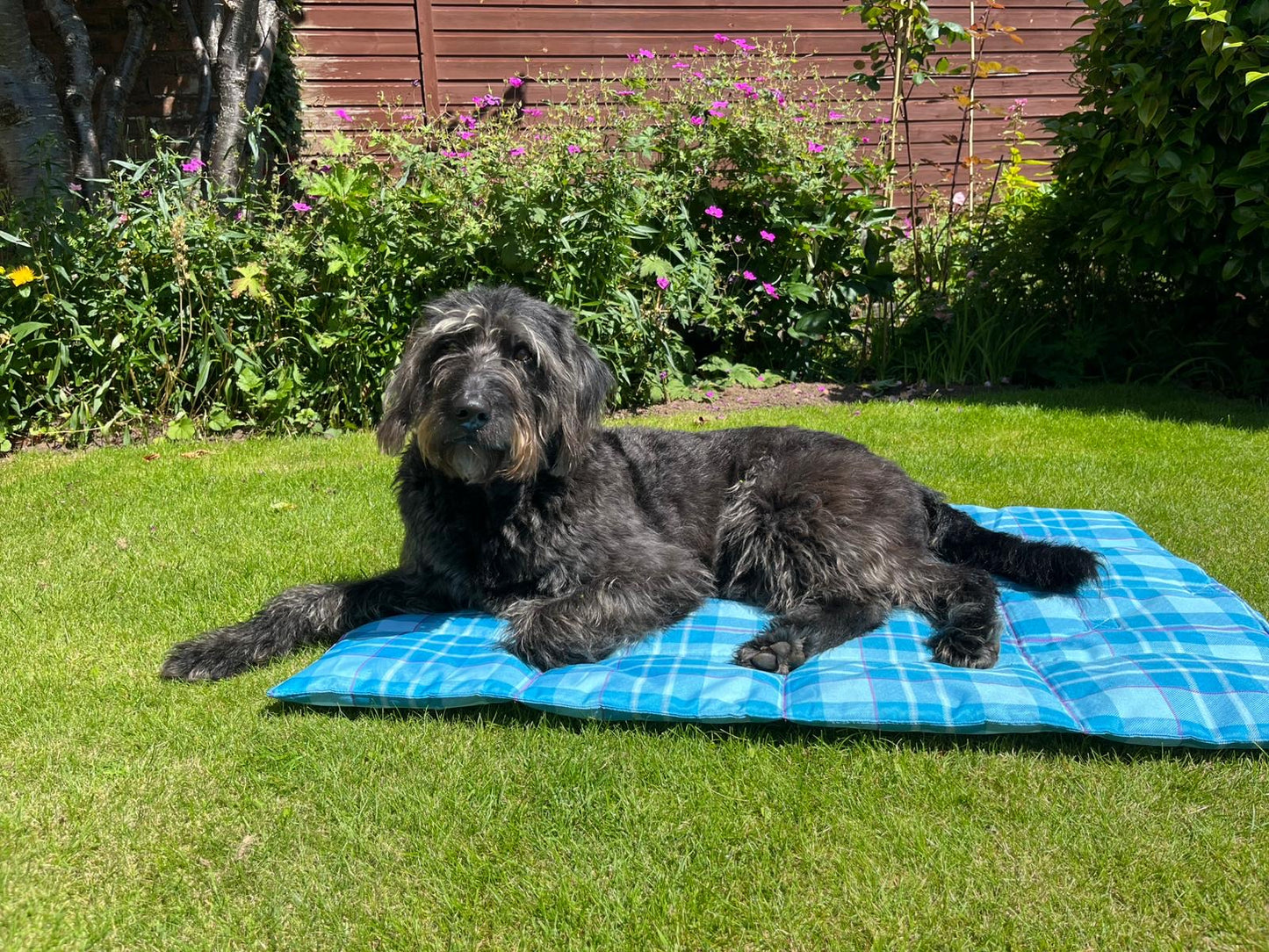 Arran Adventure Travel and Settle Mat